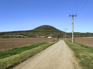 Cesta z Mnetěše na horu Říp s výhledem na vrchol.