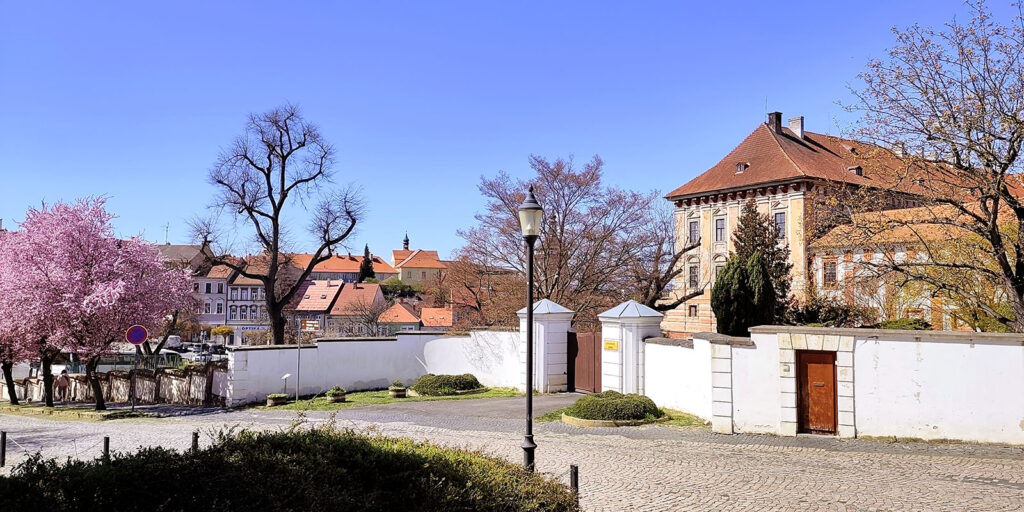 Rozkvetlé sakury u zámku v Roudnici nad Labem